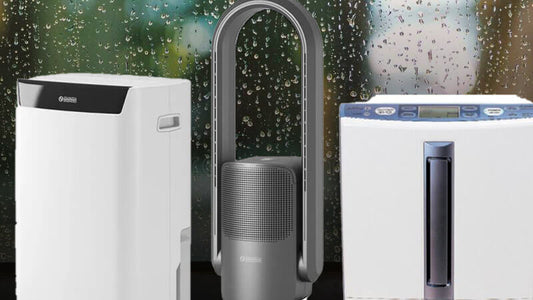 Dehumidifiers are useful for defeating indoor humidity