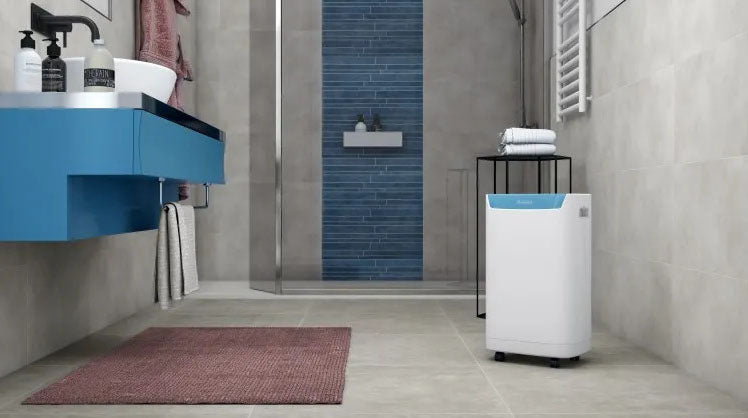 Olimpia Splendid Aquaria S1 14P air dehumidifier in bathroom