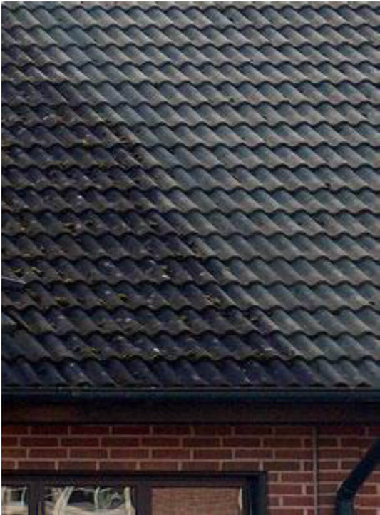 Japex Green-Free 5L līdzeklis pret sūnām, aļģēm un ķērpjiem - jumtiem